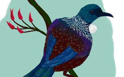 A Tui is drawn on a branch, looking directly at the viewer